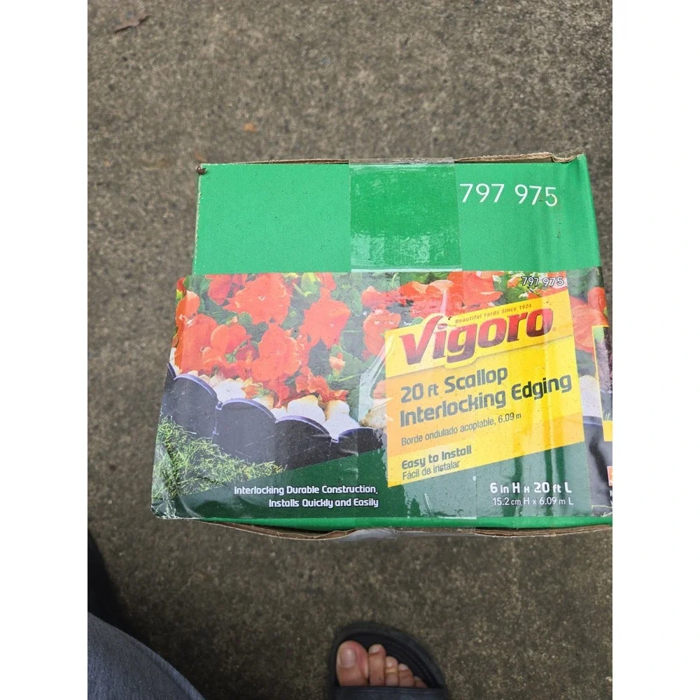 Vigorous Beauty box has